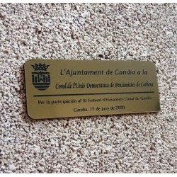 Placa para trofeo oro 12,5...